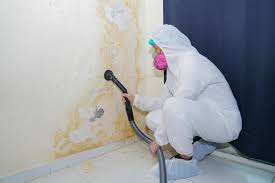 Best Mold Removal for HVAC Installations  in Congress, AZ